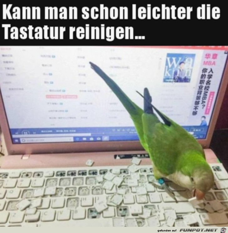 Erst mal alle Tasten rausmachen