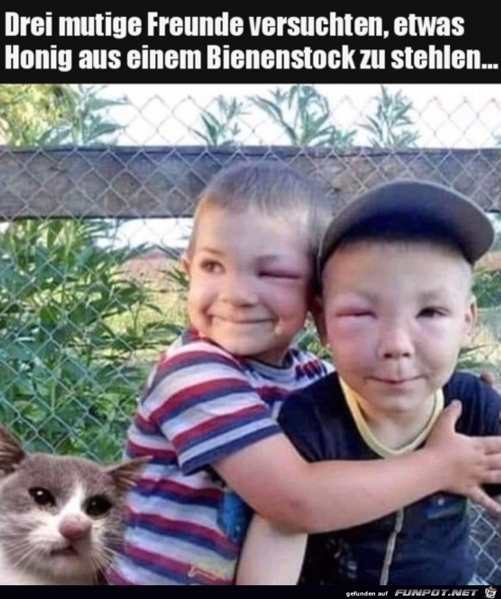 Keine gute Idee gewesen