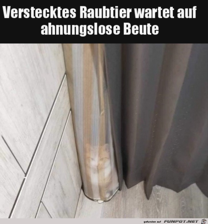 Lustiges Versteck