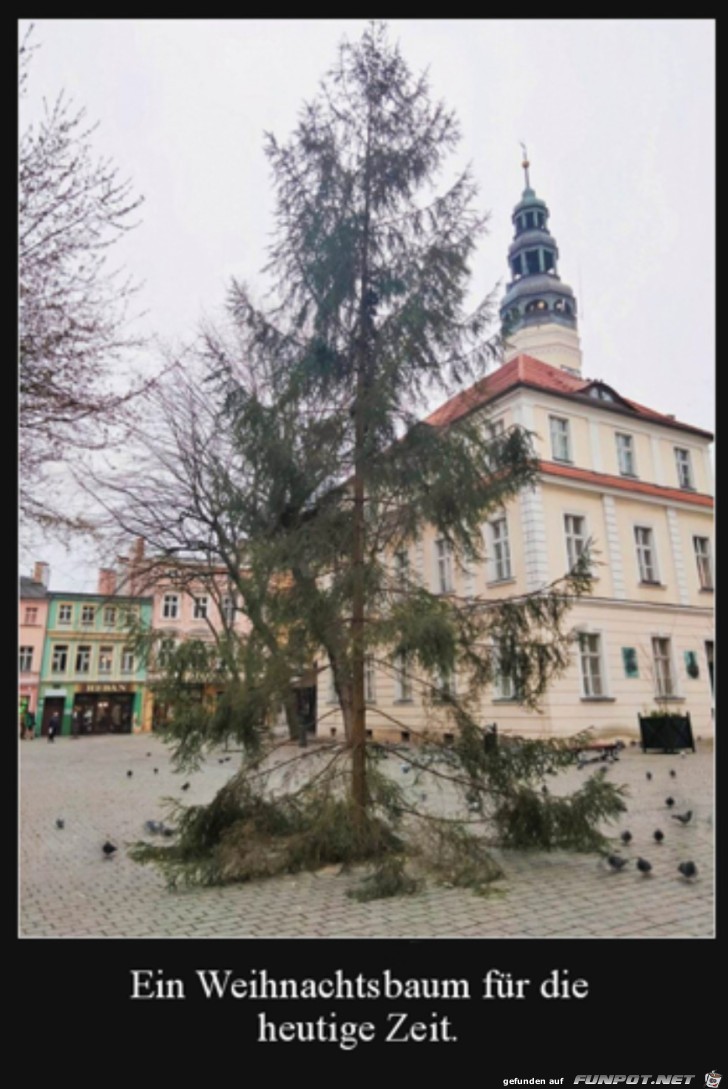 Aktueller Weihnachtsbaum