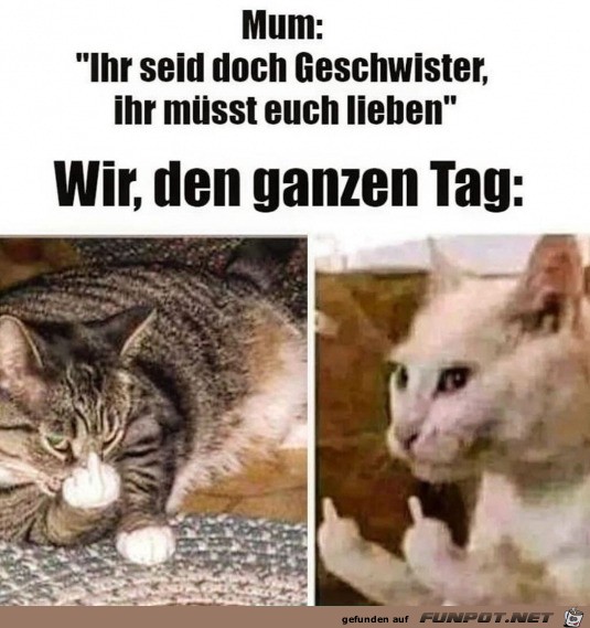 Geschwister