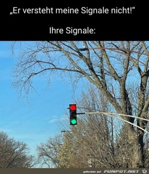Die Signale