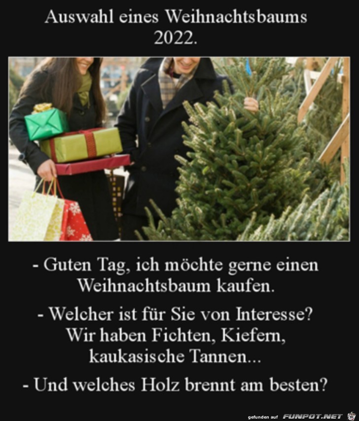 Auswahlkriterium des Weihnachtsbaumes 2022