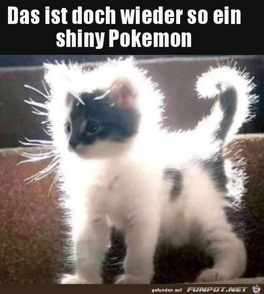 Shiny Pokemon
