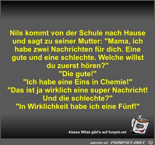 Nils kommt von der Schule nach Hause und sagt zu seiner... Nils kommt von der Schule nach Hause und sagt zu seiner...