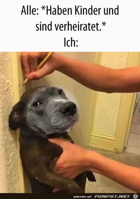 Ich habe einen Hund