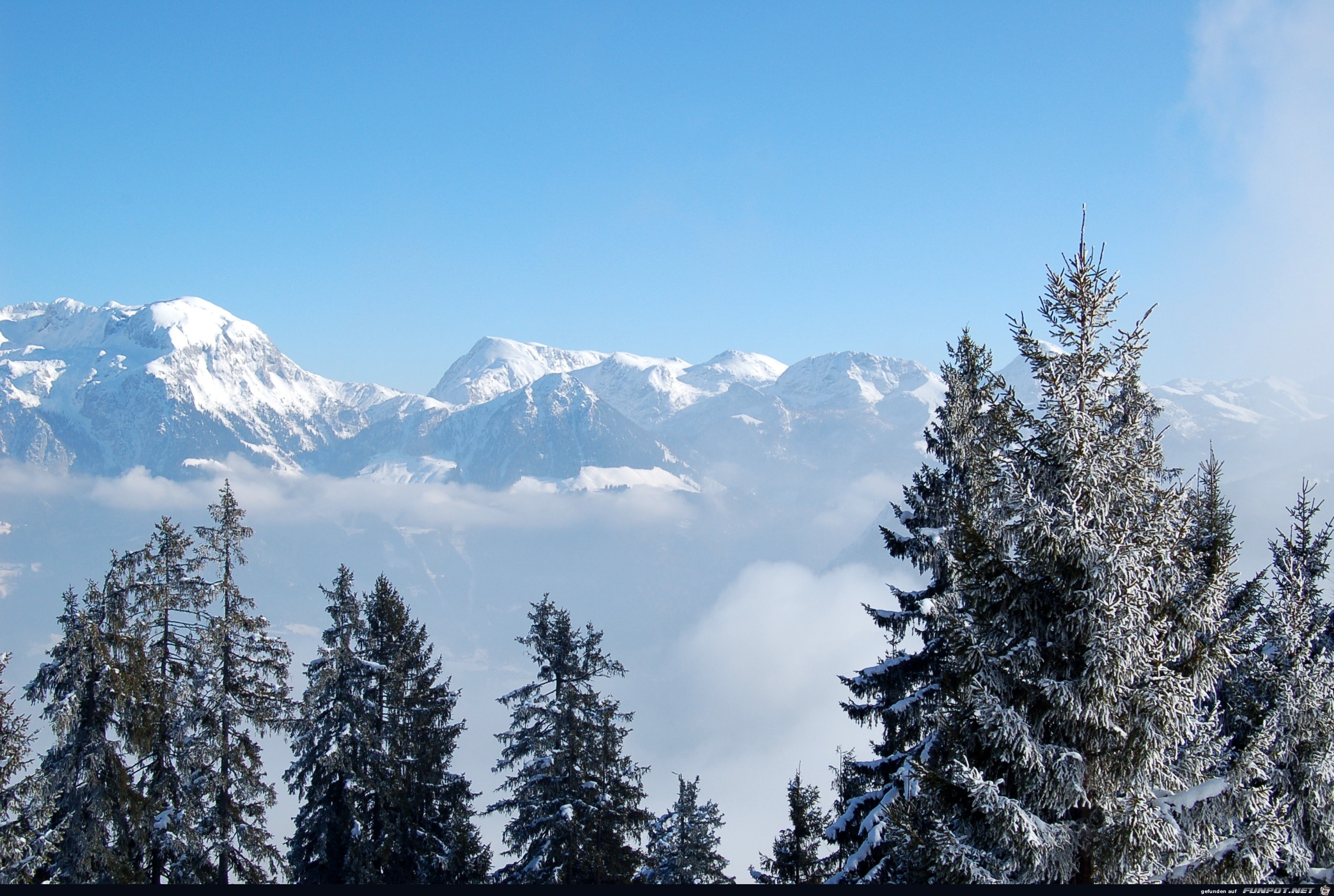 Blick vom Hochschwarzeck ( Ramsau ) in das Dachsteingebirge