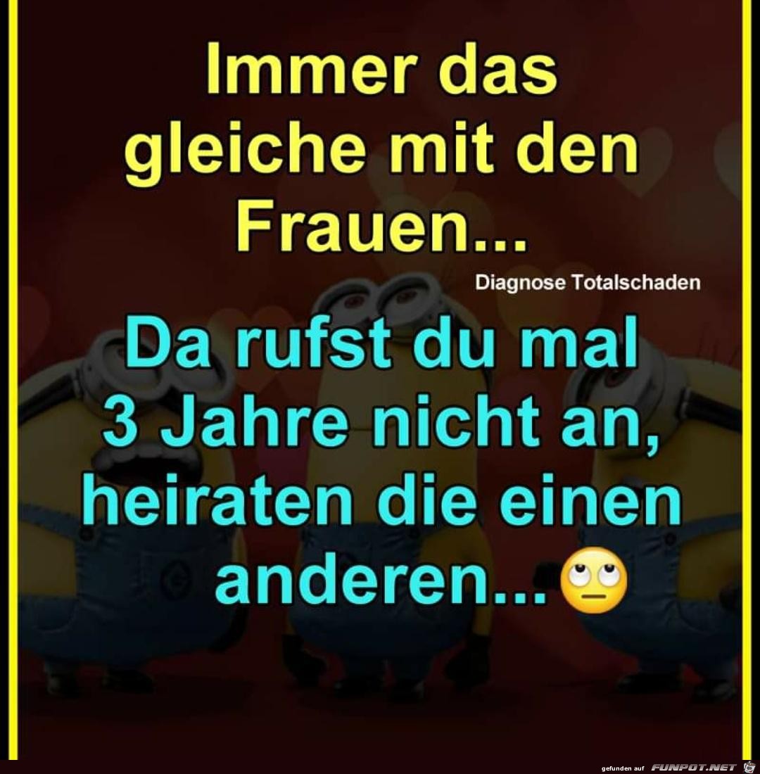 Immer das gleiche Immer das gleiche