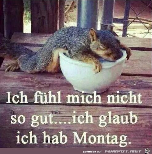 Montag