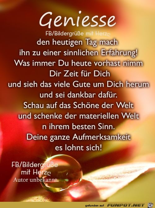 10 schne Sprche und Lebensweisheiten aus...