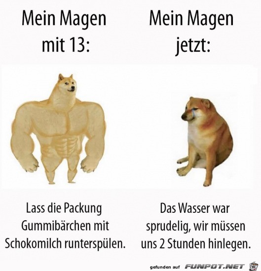 Mein Magen