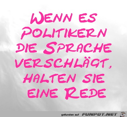 Wenn es Politikern Wenn es Politikern