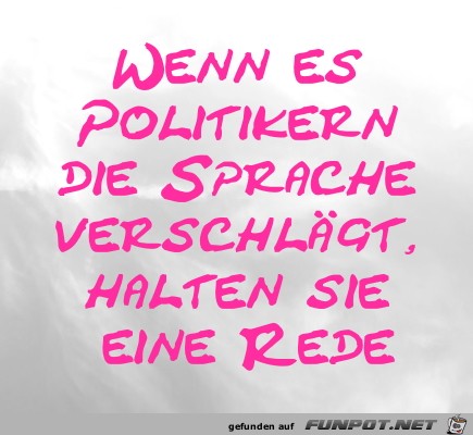 Wenn es Politikern