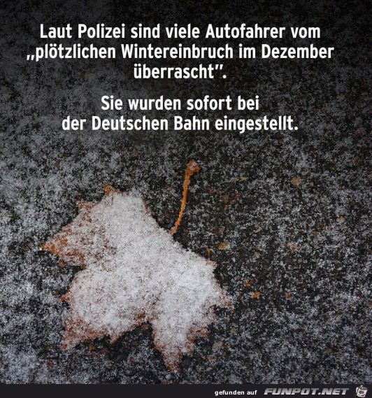 Pltzlicher Wintereinbruch