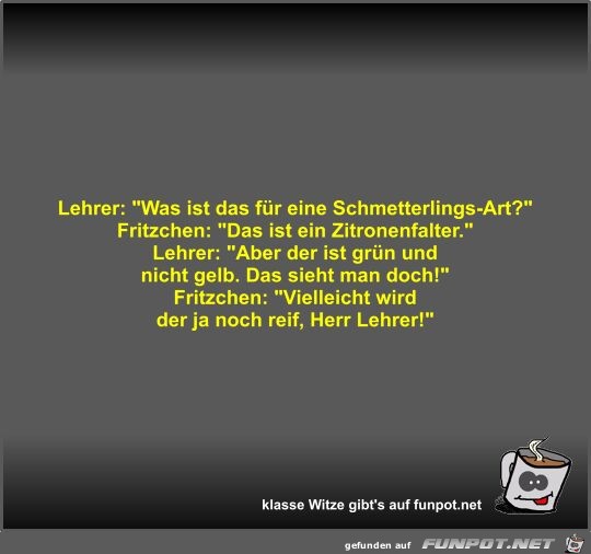 Lehrer: Was ist das fr eine Schmetterlings-Art?