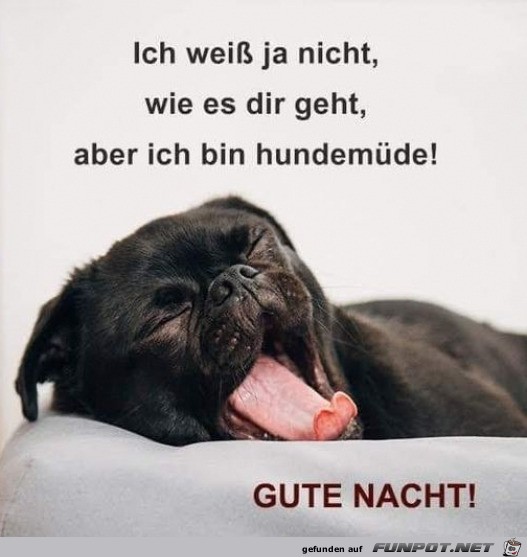 Gute Nacht