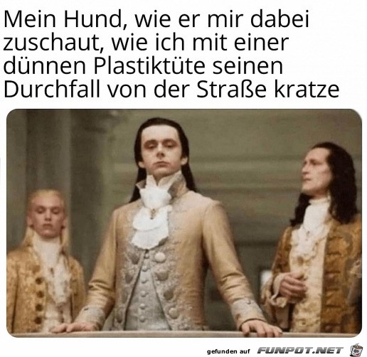 Mein Hund