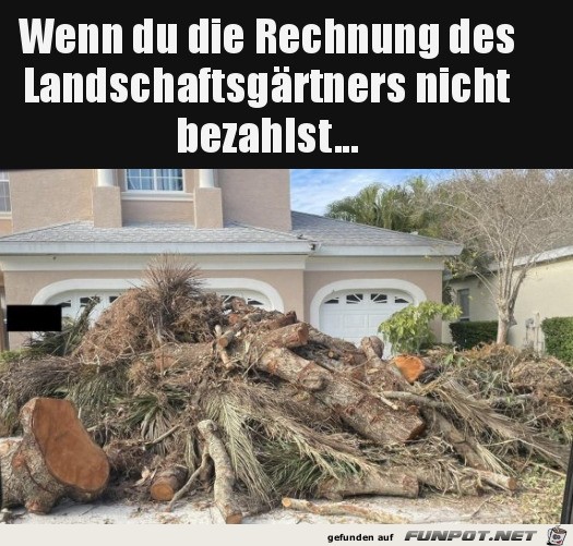 witzige Bilder aus verschiedenen Blogs