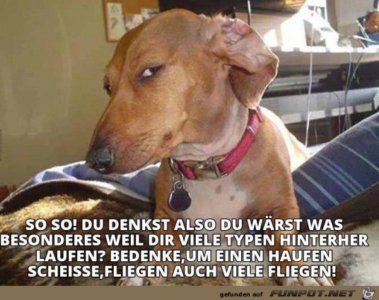 Dieser Blick