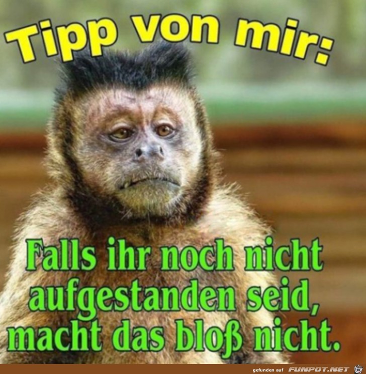 Guter Tipp