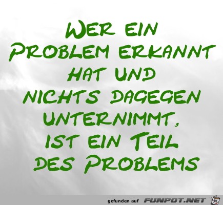 Wer ein Problem erkannt hat