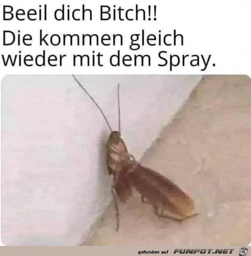 Beeil dich mal