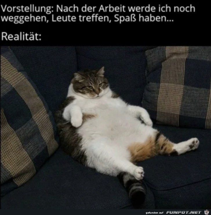 Vorstellung vs. Realitt