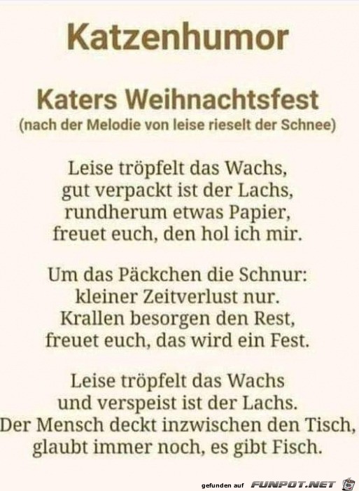 Katzen an Weihnachten