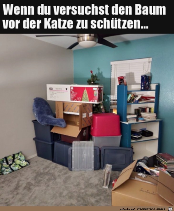 So wirkt der Baum doch besonders weihnachtlich