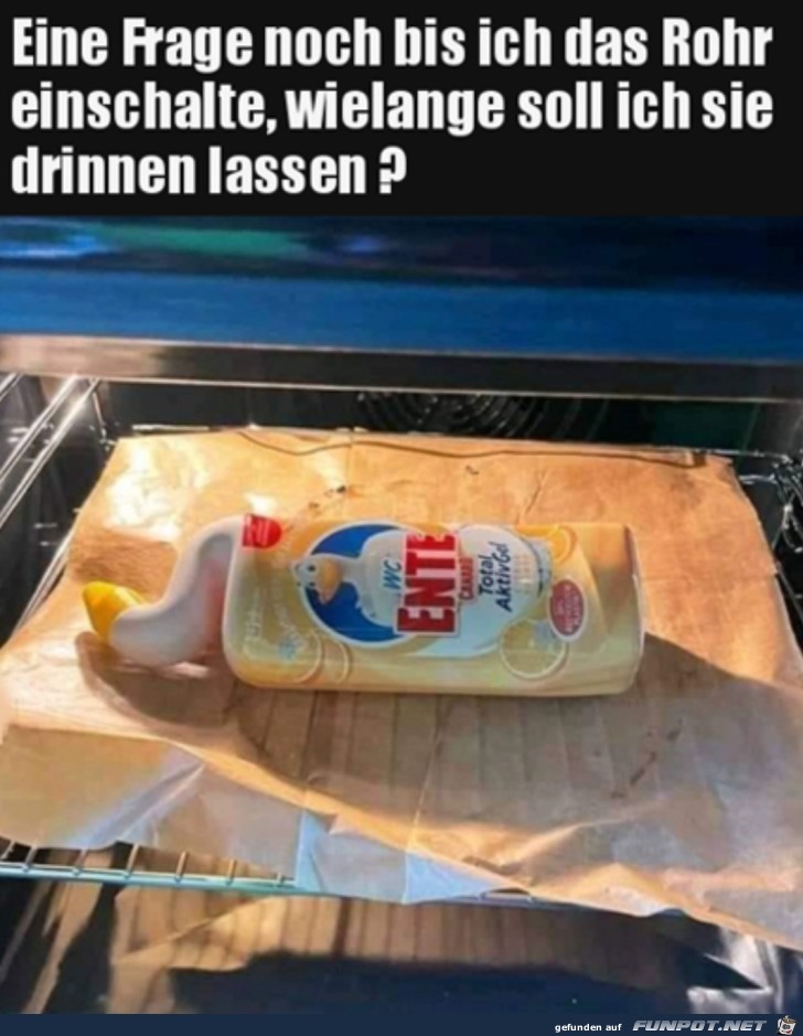 Wie lange muss die Ente drin bleiben?