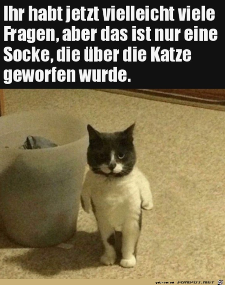 Nur eine Socke