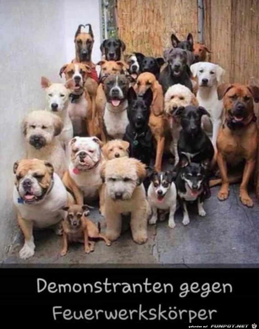 Demonstranten