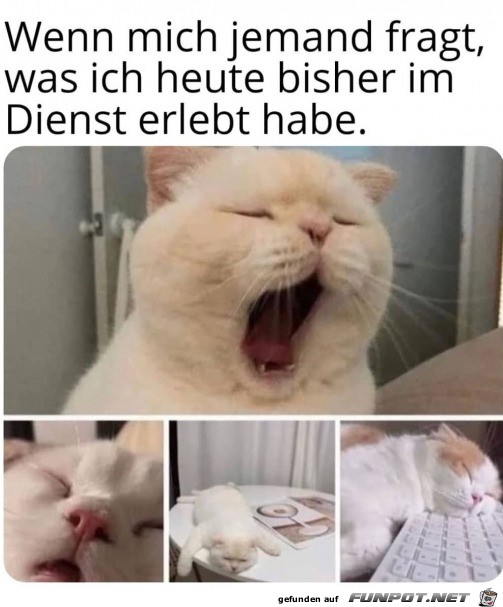 Es ist mal wieder langweilig