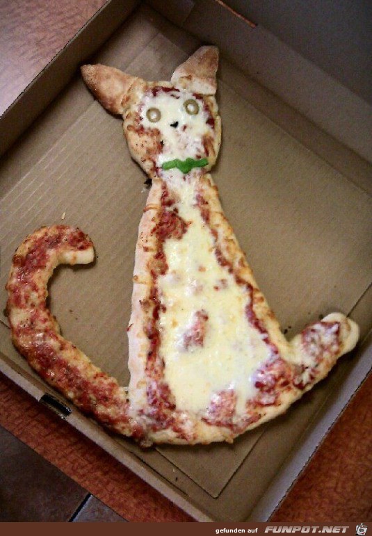 Katzen-Pizza Katzen-Pizza