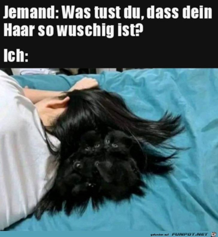 Wuschige Haare