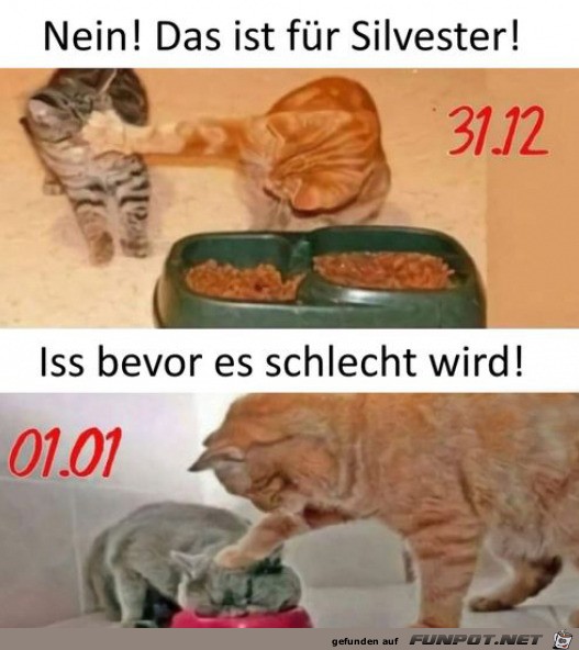 Das ist fr Silvester