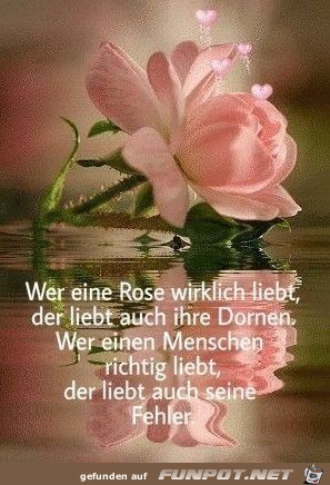 Wer eine Rose liebt