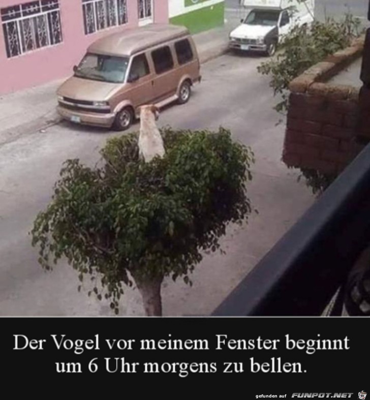 Der Vogel im Baum