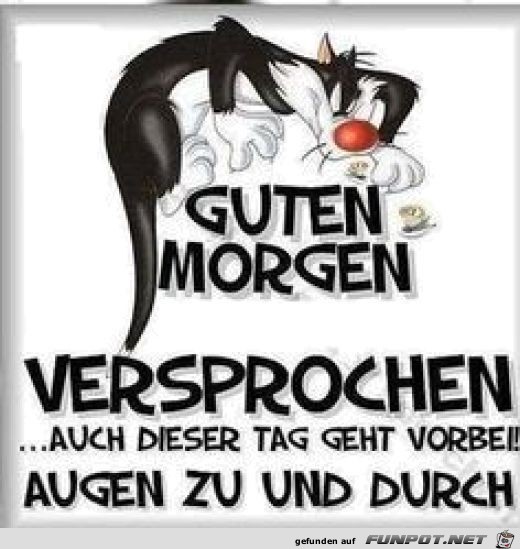 moin