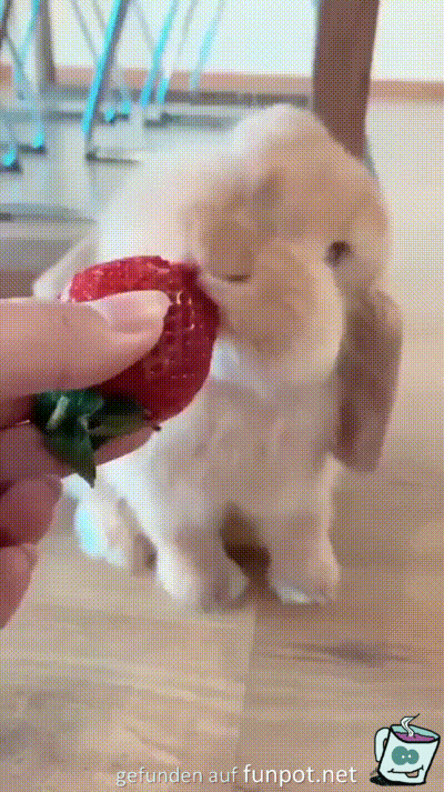 Hase mit Erdbeermund