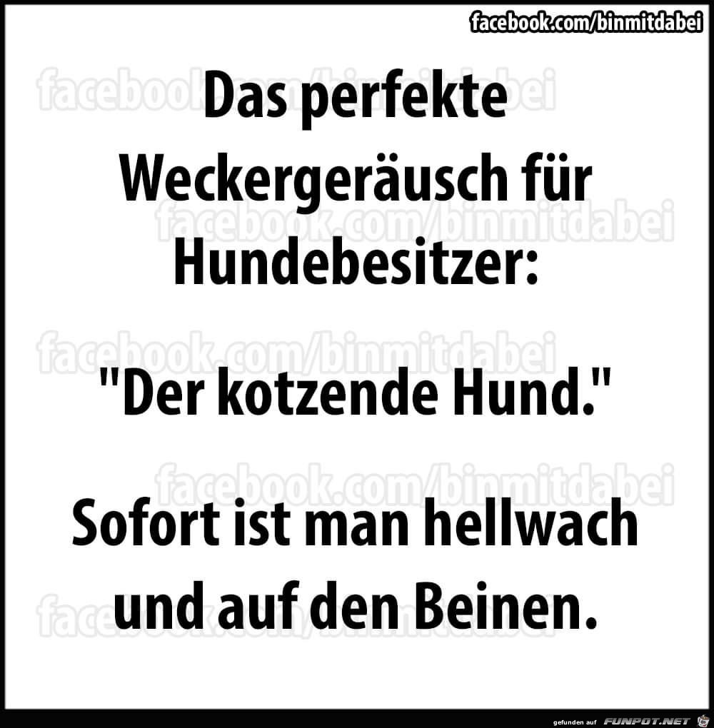 Wecker Wecker