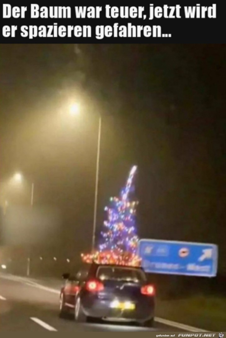 Den Baum spazieren fahren