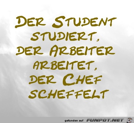 Der Student studiert