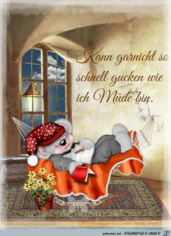 Kann gar nicht so schnell gucken