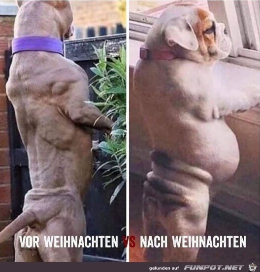 Vor und nach Weihnachten