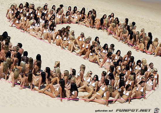 Bikini-World-Record! Das sind ein paar Damen in Bikinis ;-)