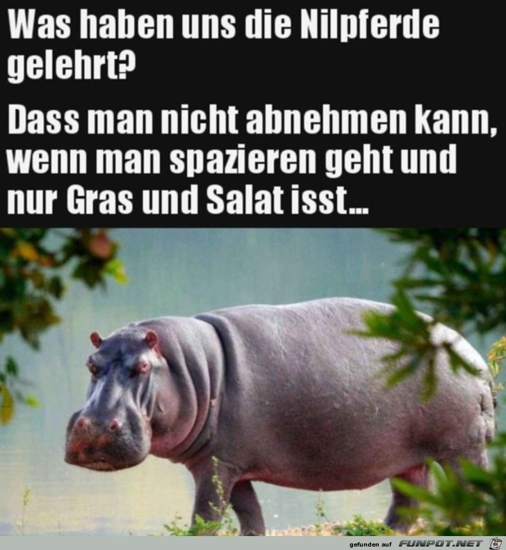 Das haben wir gelernt