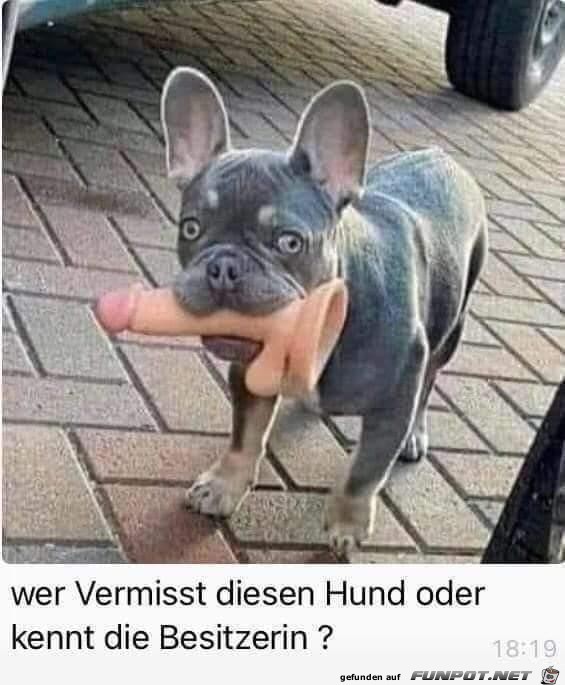 Vermisst