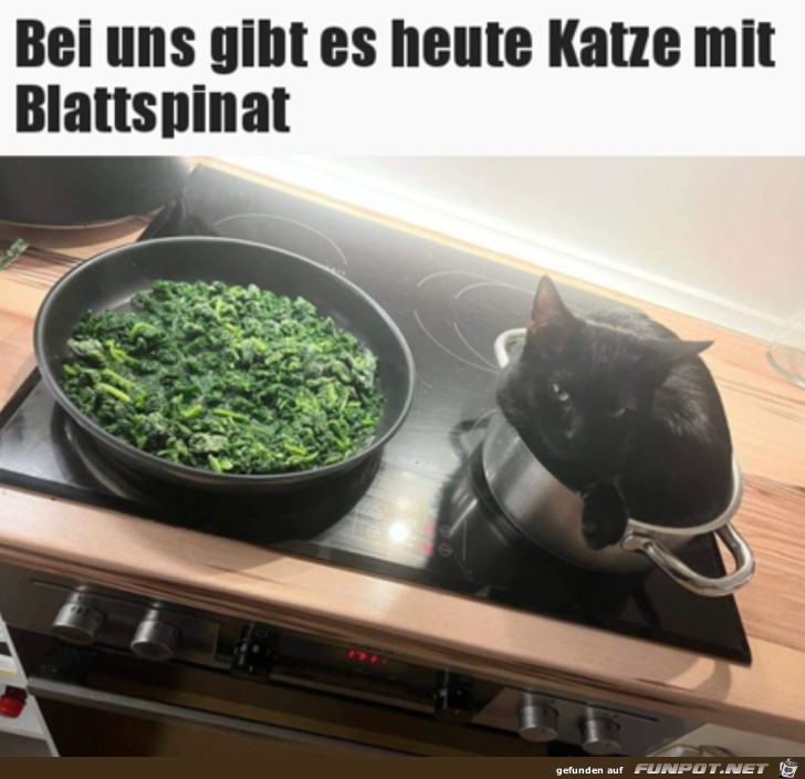 Spezielles Essen