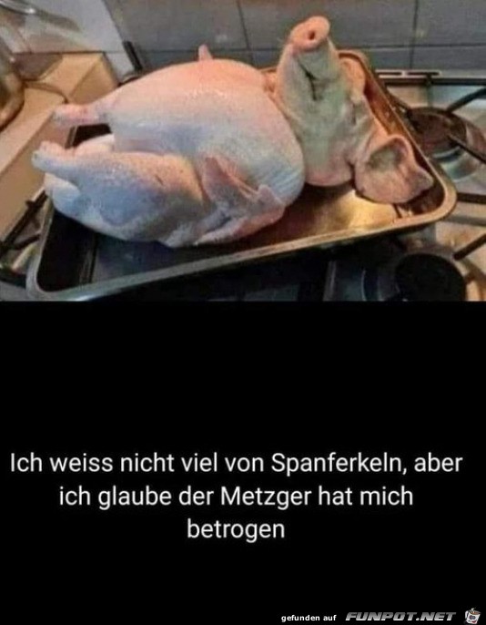 Komisches Spanferkel